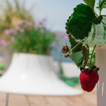 Dreamy Aegean View Apartman Athén Kültér fotó