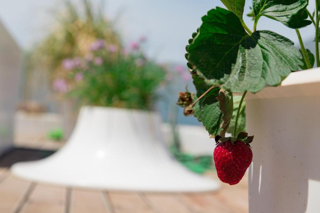 Dreamy Aegean View Apartman Athén Kültér fotó